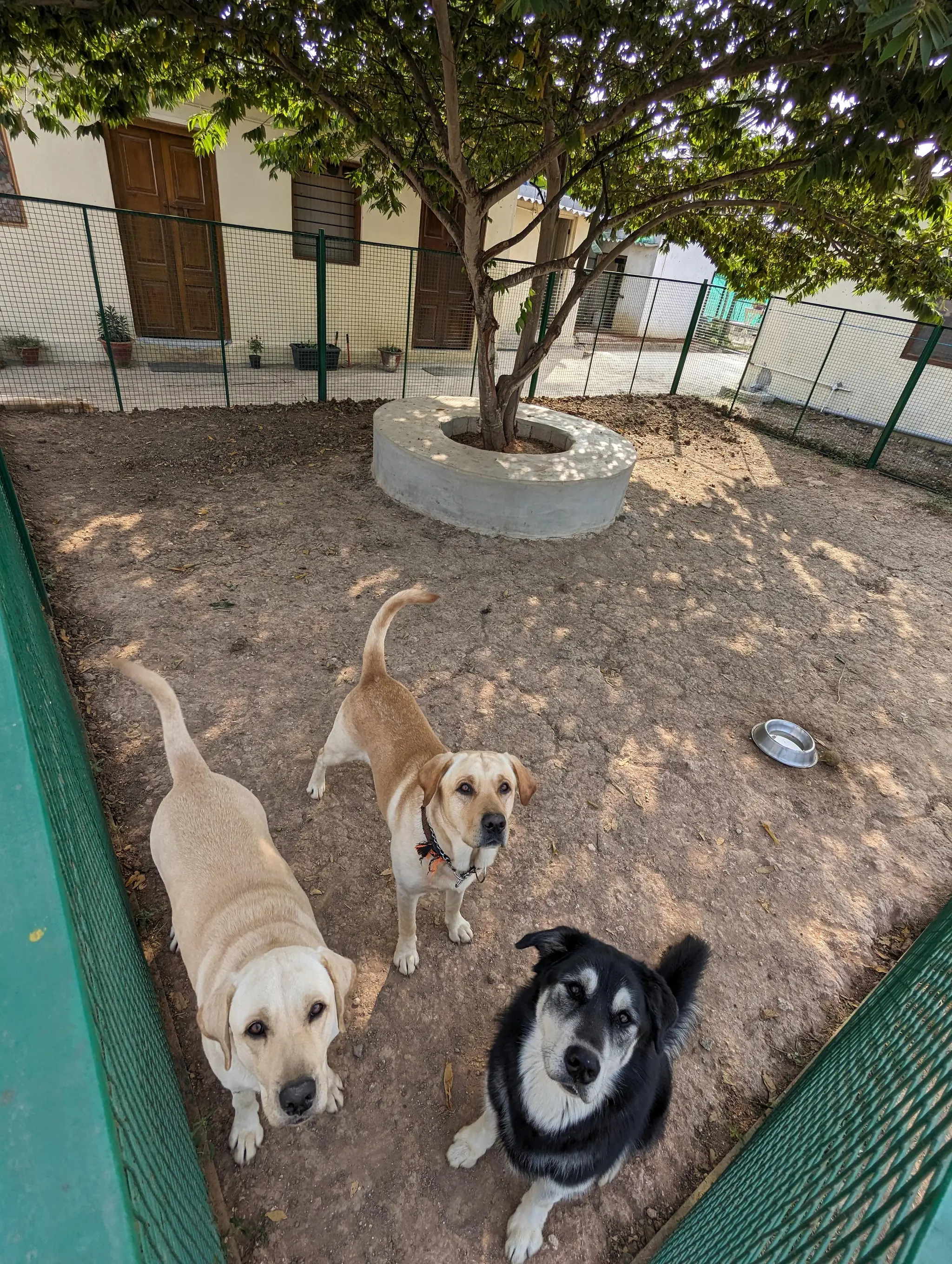 Fenced outdoor play pen at the ranch